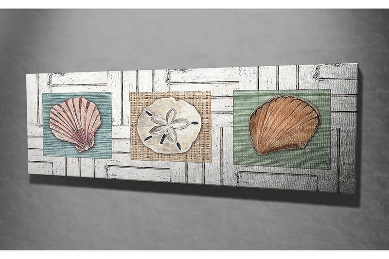 Canvastavla 80x30 cm - Tre olika snäckor på färgade bakgrunder - Grön / Beige / Rosa - Inredning - Tavlor & posters - Canvastavla