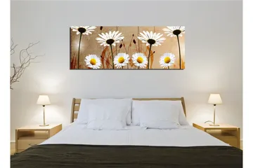 Canvastavla 80x30 cm - Vackra prästkragar i en harmonisk komposition - Vit / Gul / Beige - Inredning - Tavlor & posters - Canvastavla