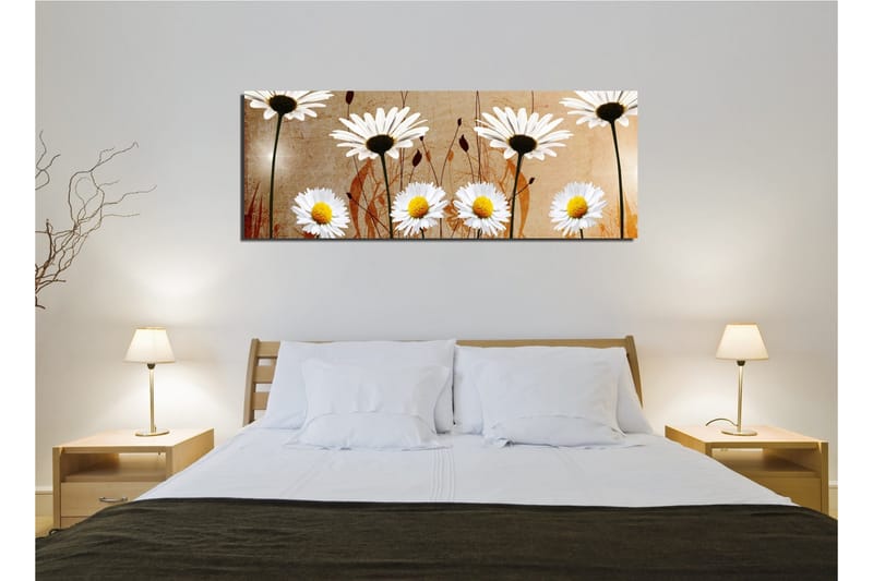 Canvastavla 80x30 cm - Vackra prästkragar i en harmonisk komposition - Vit / Gul / Beige - Inredning - Tavlor & posters - Canvastavla