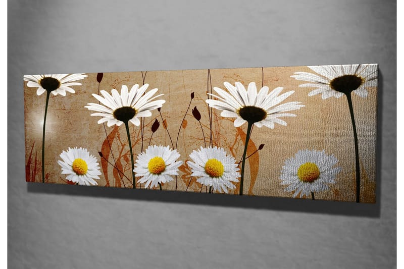 Canvastavla 80x30 cm - Vackra prästkragar i en harmonisk komposition - Vit / Gul / Beige - Inredning - Tavlor & posters - Canvastavla