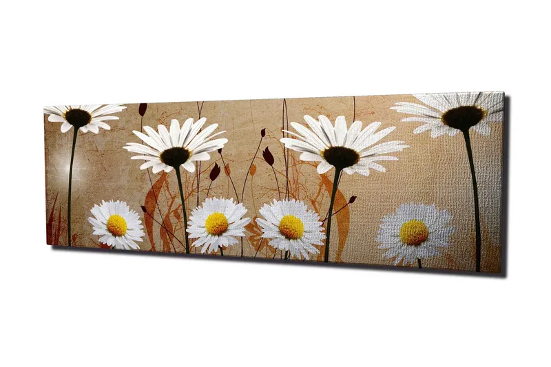 Canvastavla 80x30 cm - Vackra prästkragar i en harmonisk komposition - Vit / Gul / Beige - Inredning - Tavlor & posters - Canvastavla