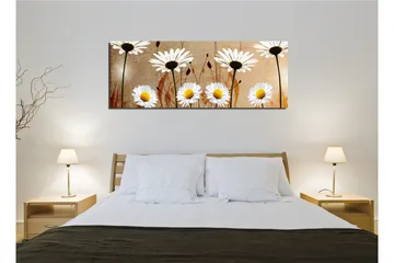 Canvastavla 80x30 cm - Vackra prästkragar i en harmonisk komposition - Vit / Gul / Beige - Inredning - Tavlor & posters - Canvastavla