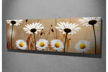 Canvastavla 80x30 cm - Vackra prästkragar i en harmonisk komposition - Vit / Gul / Beige - Inredning - Tavlor & posters - Canvastavla