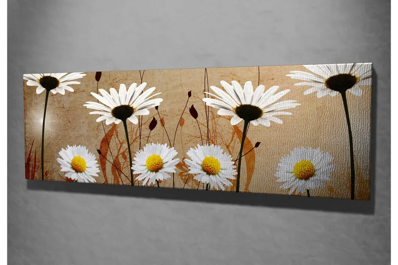 Canvastavla 80x30 cm - Vackra prästkragar i en harmonisk komposition - Vit / Gul / Beige - Inredning - Tavlor & posters - Canvastavla