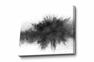 Canvastavla - Abstrakt explosion av svart bläck - Svart / Grå - Inredning - Tavlor & posters - Canvastavla