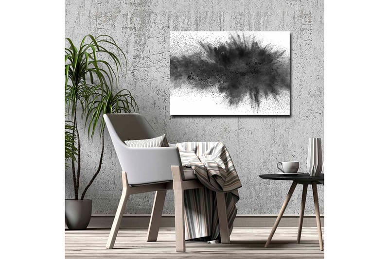 Canvastavla - Abstrakt explosion av svart bläck - Svart / Grå - Inredning - Tavlor & posters - Canvastavla