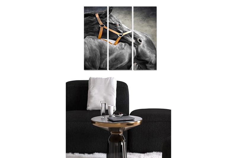 Canvastavla Animal 3-pack Flerfärgad, 20x50 cm