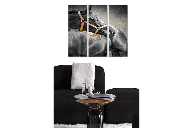 Canvastavla Animal 3-pack Flerfärgad - 20x50 cm - Inredning - Tavlor & posters - Canvastavla