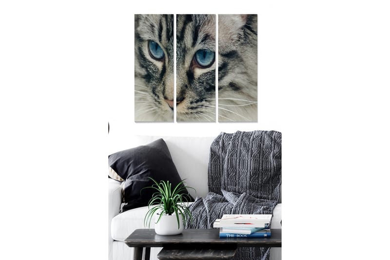 Canvastavla Animal 3-pack Flerfärgad - 20x50 cm - Inredning - Tavlor & posters - Canvastavla