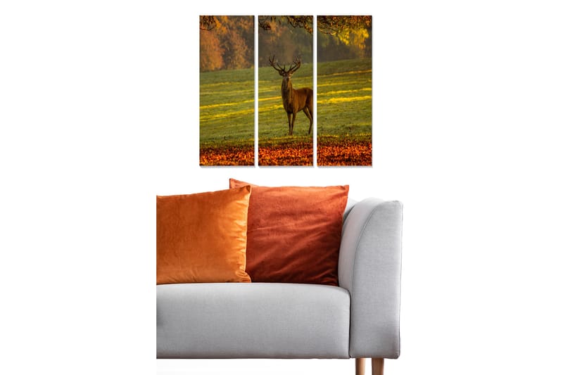 Canvastavla Animal 3-pack Flerfärgad - 20x50 cm - Inredning - Tavlor & posters - Canvastavla