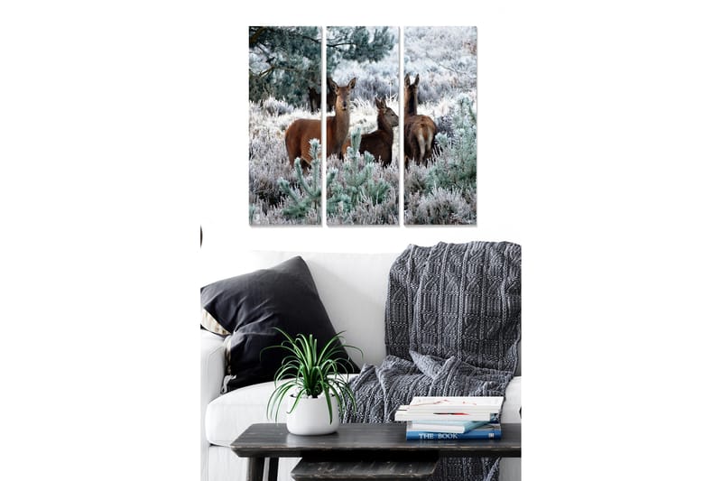 Canvastavla Animal 3-pack Flerfärgad - 20x50 cm - Inredning - Tavlor & posters - Canvastavla