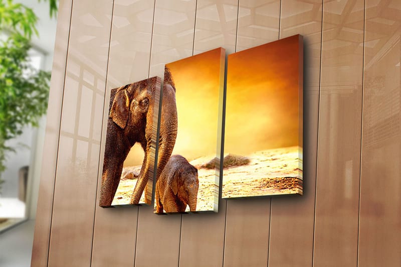 Canvastavla Animal 3-pack Flerfärgad - 20x39 cm - Inredning - Tavlor & posters - Canvastavla