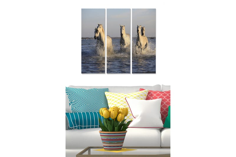 Canvastavla Animal 3-pack Flerfärgad - 20x50 cm - Inredning - Tavlor & posters - Canvastavla
