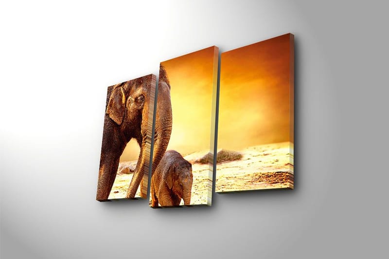 Canvastavla Animal 3-pack Flerfärgad - 20x39 cm - Inredning - Tavlor & posters - Canvastavla