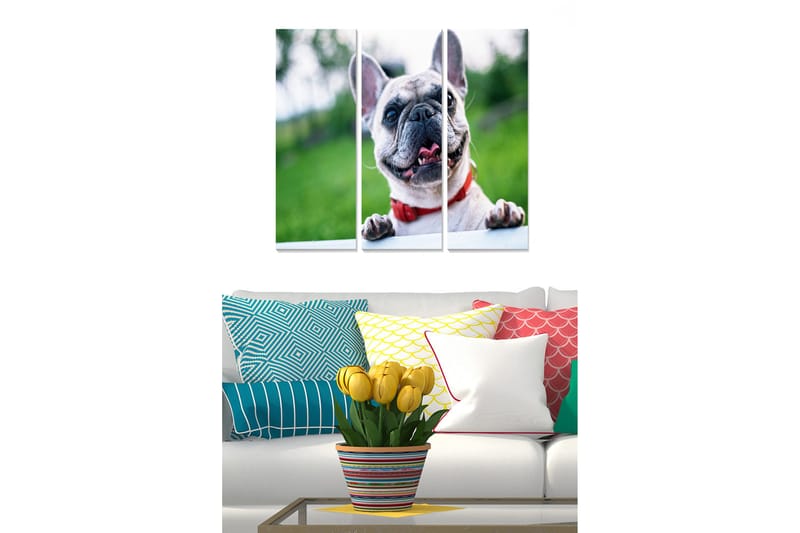 Canvastavla Animal 3-pack Flerfärgad, 20x50 cm