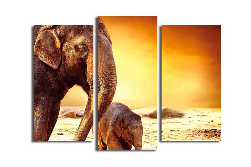Canvastavla Animal 3-pack Flerfärgad, 20x39 cm