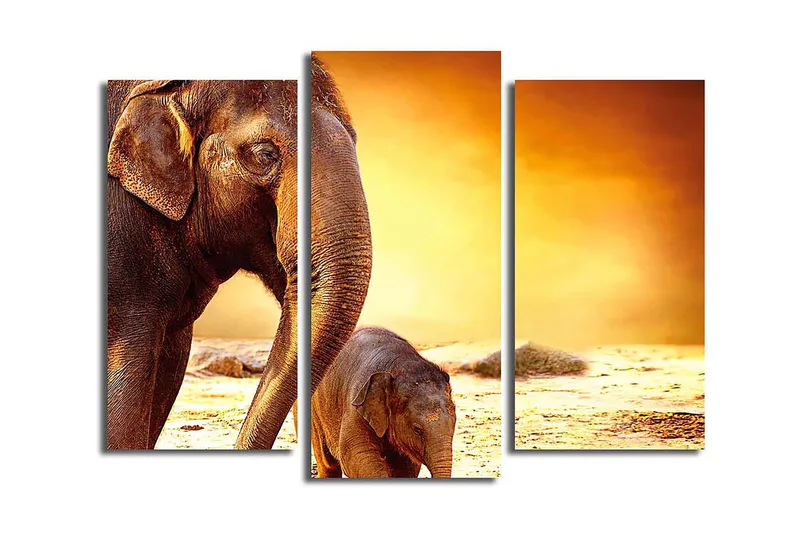 Canvastavla Animal 3-pack Flerfärgad, 20x39 cm