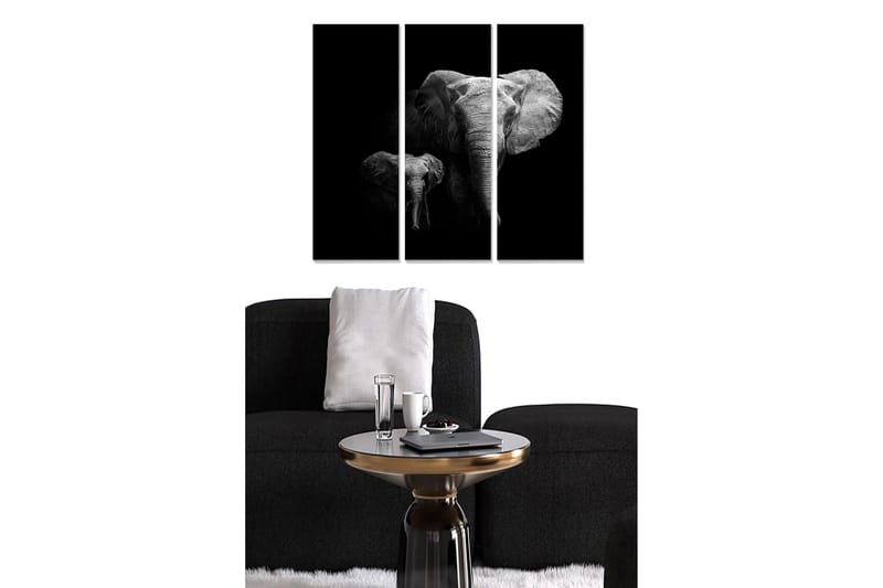 Canvastavla Animal 3-pack Flerfärgad - 20x50 cm - Inredning - Tavlor & posters - Canvastavla