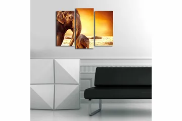 Canvastavla Animal 3-pack Flerfärgad - 20x39 cm - Inredning - Tavlor & posters - Canvastavla