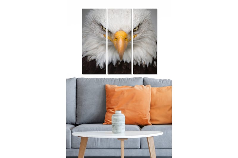 Canvastavla Animal 3-pack Flerfärgad, 20x50 cm