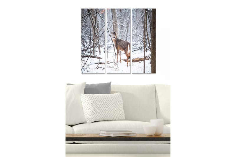 Canvastavla Animal 3-pack Flerfärgad, 20x50 cm