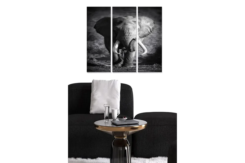 Canvastavla Animal 3-pack Flerfärgad, 20x50 cm