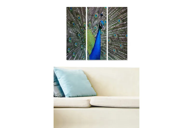 Canvastavla Animal 3-pack Flerfärgad, 20x50 cm