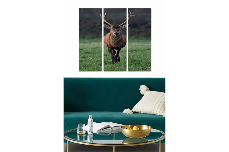 Canvastavla Animal 3-pack Flerfärgad, 20x50 cm