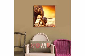 Canvastavla Animal Flerfärgad - 45x45 cm - Inredning - Tavlor & posters - Canvastavla