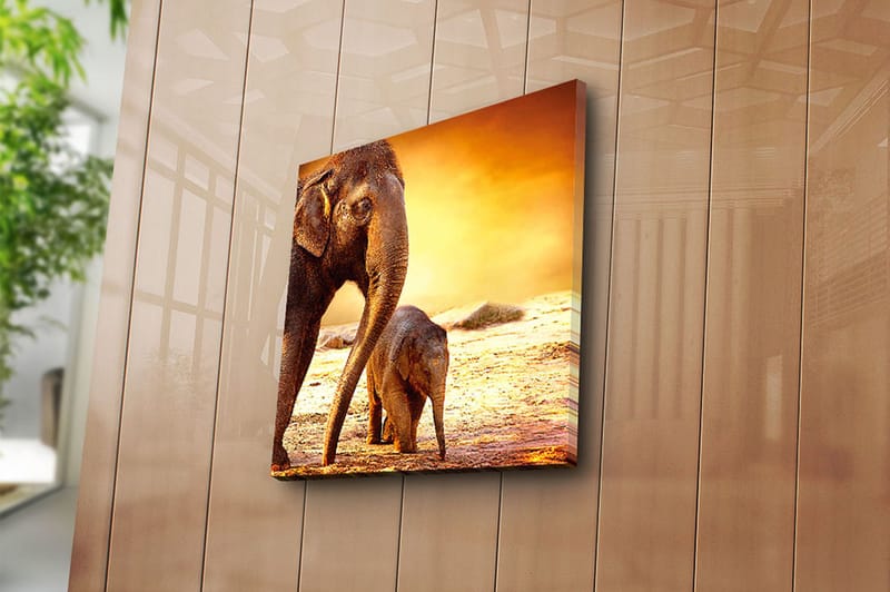 Canvastavla Animal Flerfärgad - 45x45 cm - Inredning - Tavlor & posters - Canvastavla