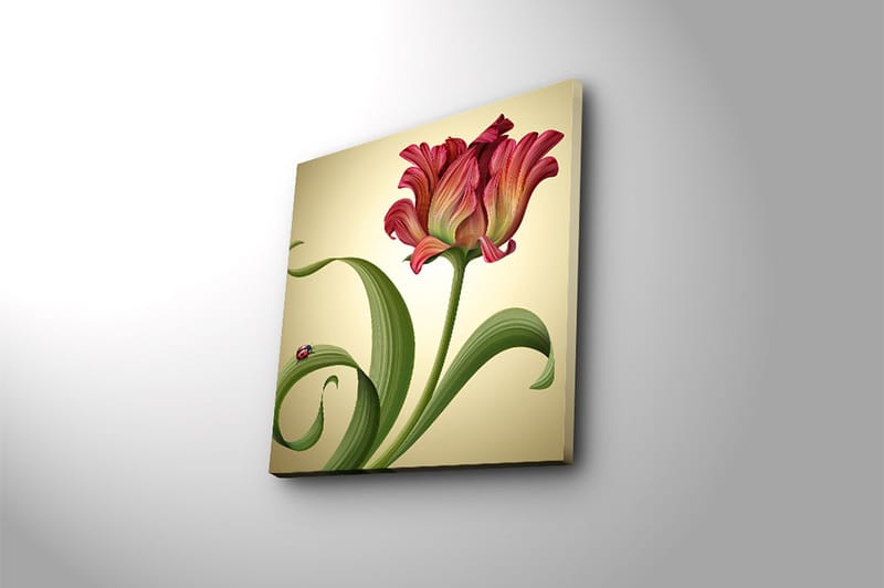 Canvastavla Animal Flerfärgad - 45x45 cm - Inredning - Tavlor & posters - Canvastavla
