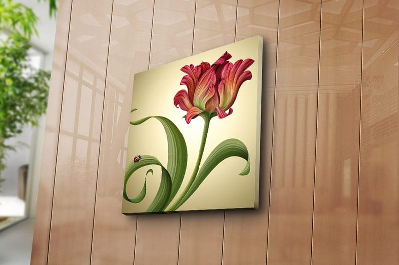 Canvastavla Animal Flerfärgad - 45x45 cm - Inredning - Tavlor & posters - Canvastavla