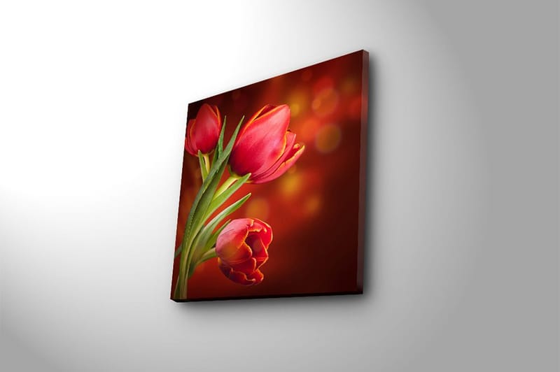 Canvastavla Animal Flerfärgad - 45x45 cm - Inredning - Tavlor & posters - Canvastavla