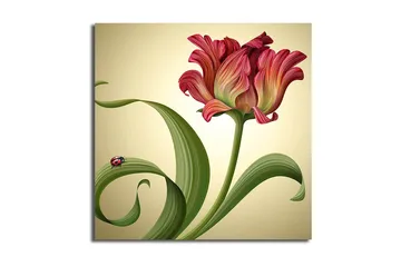 Canvastavla Animal Flerfärgad - 45x45 cm - Inredning - Tavlor & posters - Canvastavla