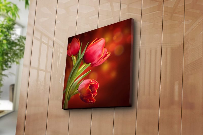 Canvastavla Animal Flerfärgad - 45x45 cm - Inredning - Tavlor & posters - Canvastavla