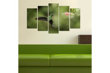 Canvastavla Animals 5-pack Flerfärgad - 20x60 cm - Inredning - Tavlor & posters - Canvastavla