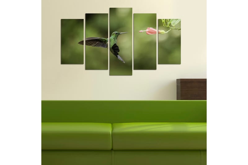 Canvastavla Animals 5-pack Flerfärgad - 20x60 cm - Inredning - Tavlor & posters - Canvastavla