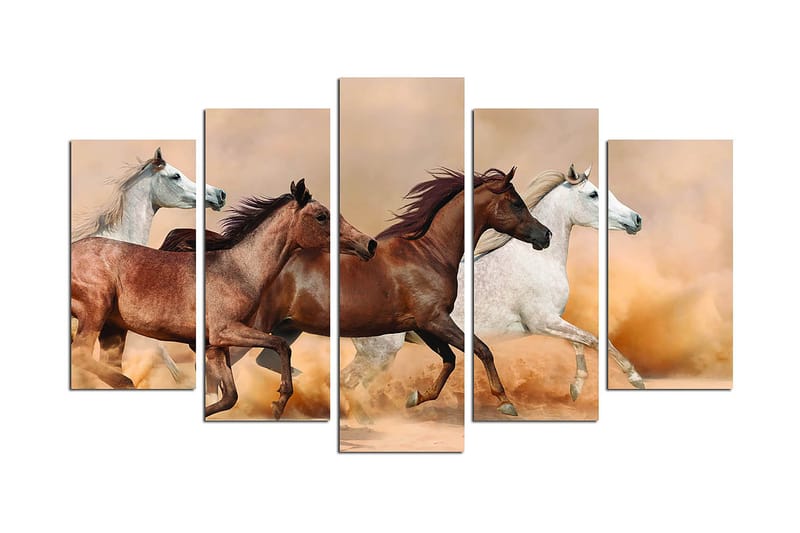 Canvastavla Animals 5-pack Flerfärgad - 20x60 cm - Canvastavla