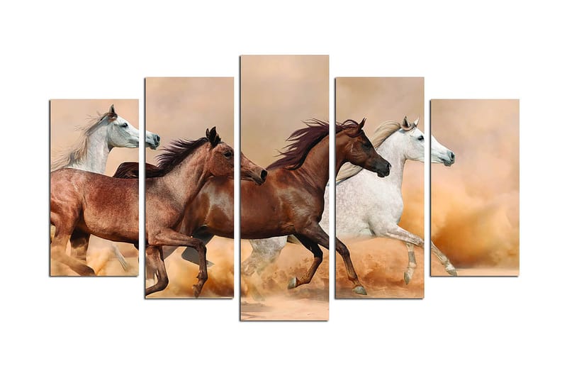 Canvastavla Animals 5-pack Flerfärgad, 20x60 cm