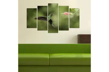 Canvastavla Animals 5-pack Flerfärgad - 20x60 cm - Inredning - Tavlor & posters - Canvastavla