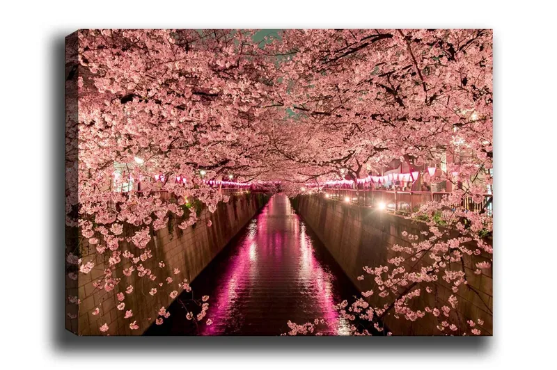 Canvastavla - Blommande körsbärsträd vid en kanal, Rosa / Grön / Lila