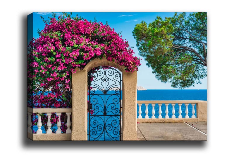 Canvastavla - Blomstrande bougainvillea vid en smidesgrind med havsutsikt - Rosa / Blå / Grön - Inredning - Tavlor & posters - Canvastavla