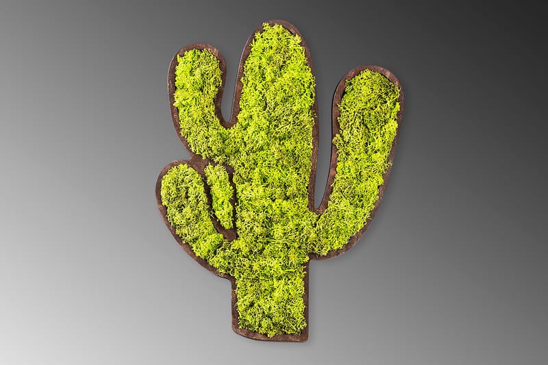 Canvastavla Cactus - Grön/Vit - Canvastavla