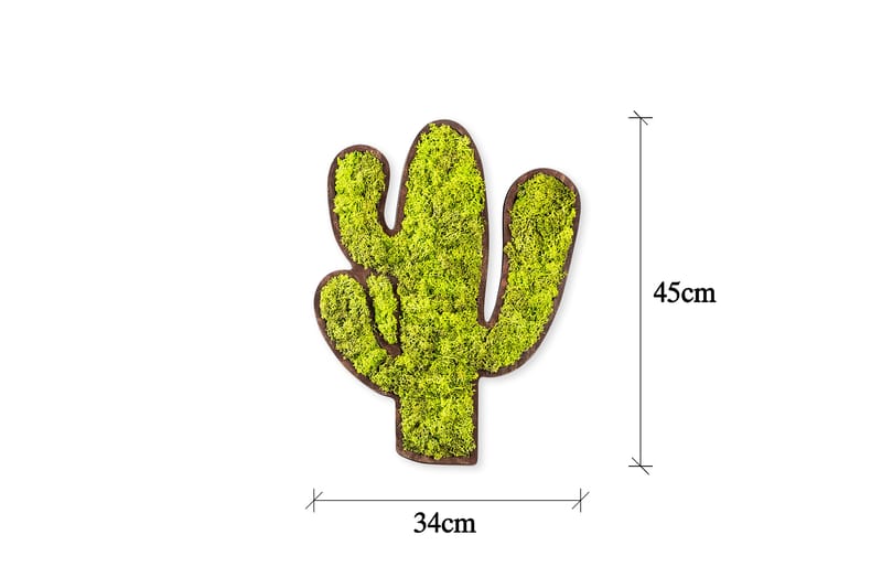 Canvastavla Cactus - Grön/Vit - Inredning - Tavlor & posters - Canvastavla