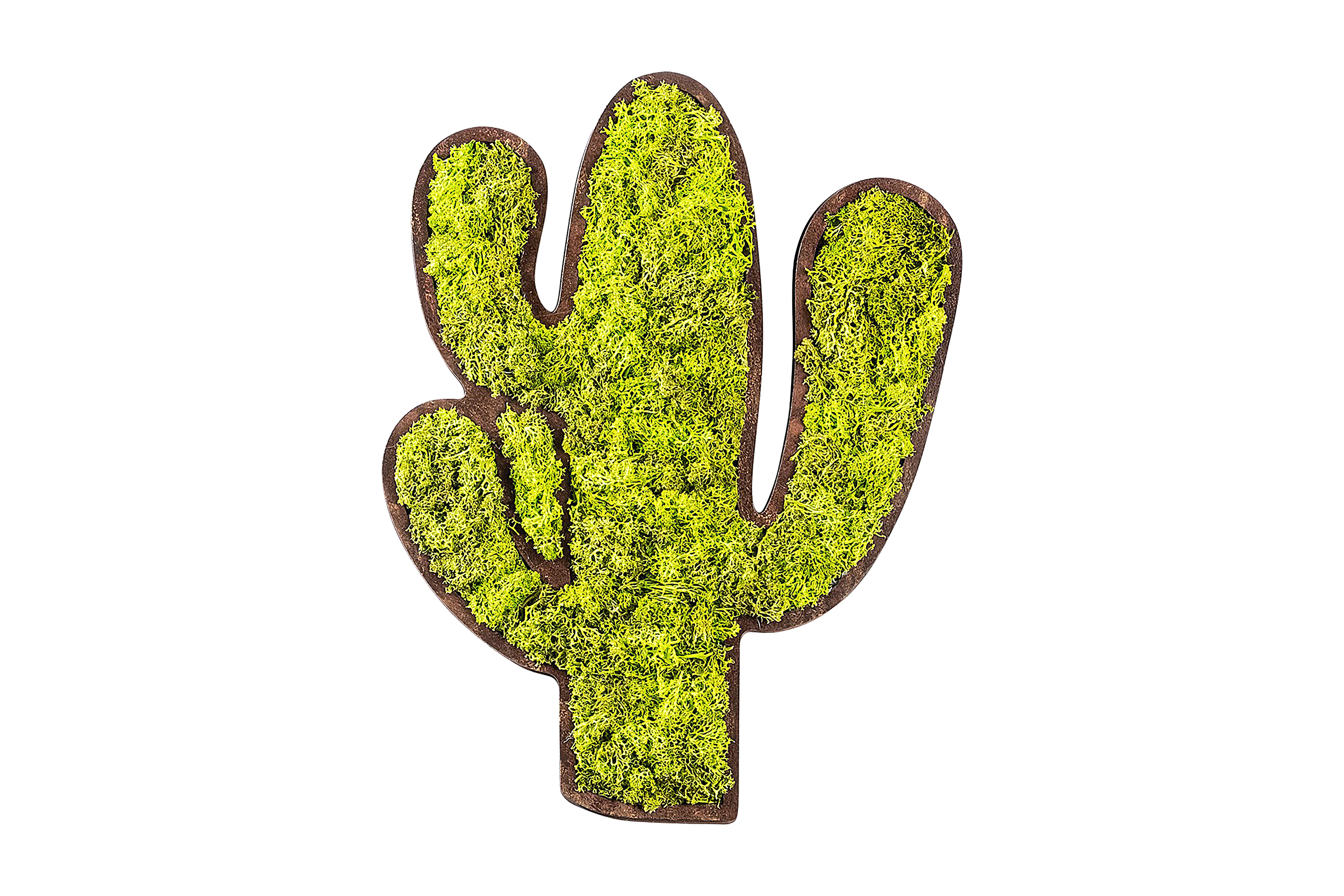 Canvastavla Cactus Grön/Vit