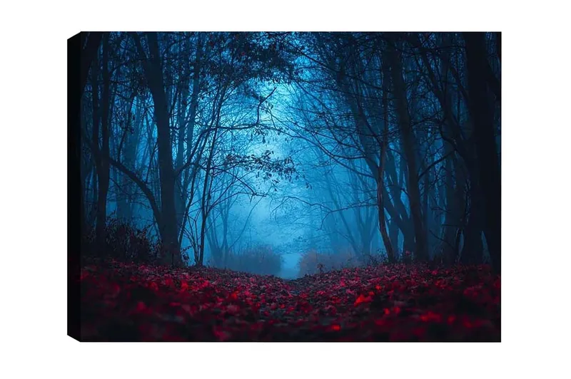 Canvastavla - Dimig skog med rödaktiga löv i en mystisk atmosfär - Mörkblå / Röd - Inredning - Tavlor & posters - Canvastavla