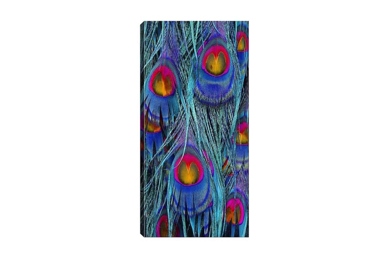 Canvastavla DKY Abstract & Fractals Flerfärgad - 50x120 cm - Inredning - Tavlor & posters - Canvastavla