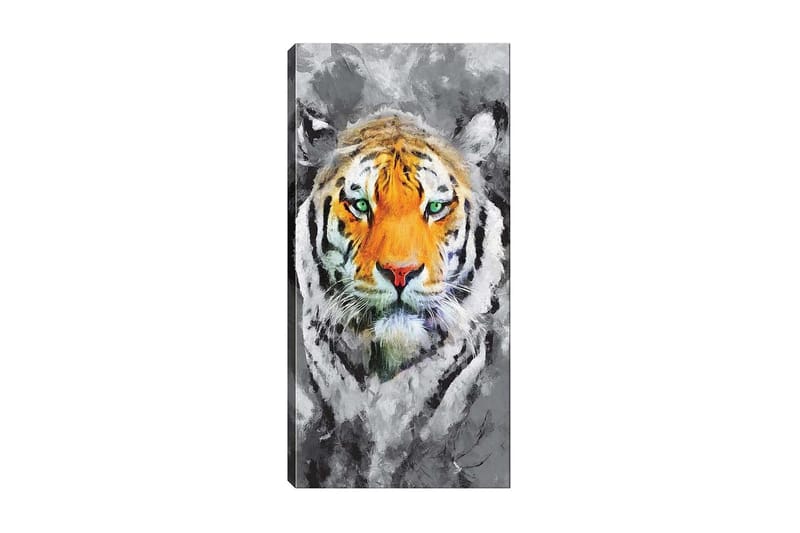 Canvastavla DKY Animals Flerfärgad - 50x120 cm - Inredning - Tavlor & posters - Canvastavla