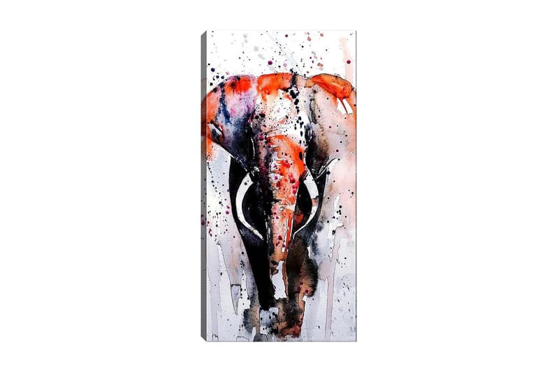 Canvastavla DKY Animals Flerfärgad - 50x120 cm - Inredning - Tavlor & posters - Canvastavla