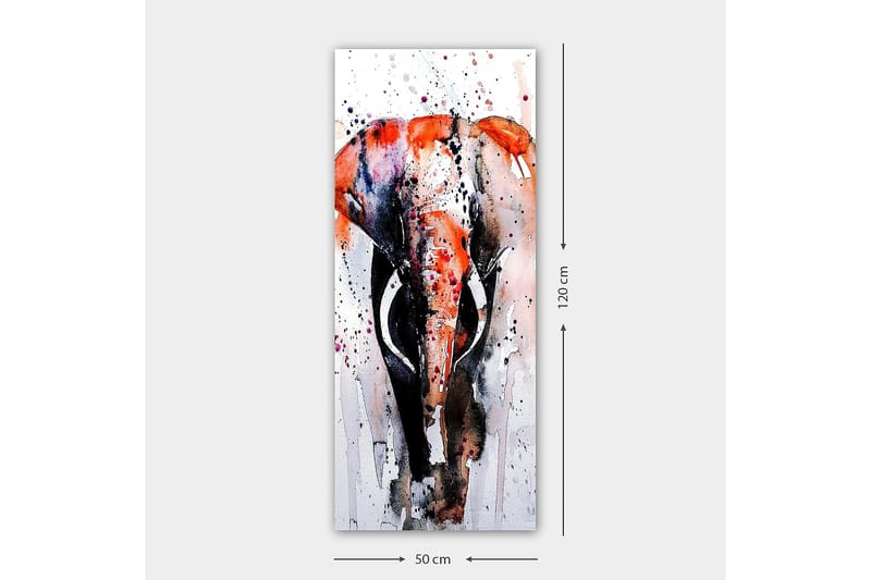 Canvastavla DKY Animals Flerfärgad - 50x120 cm - Canvastavla
